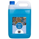 CULTURAL CHOICE GILIIAN WINDOW AND GLASS CLEANER 5LITRE
